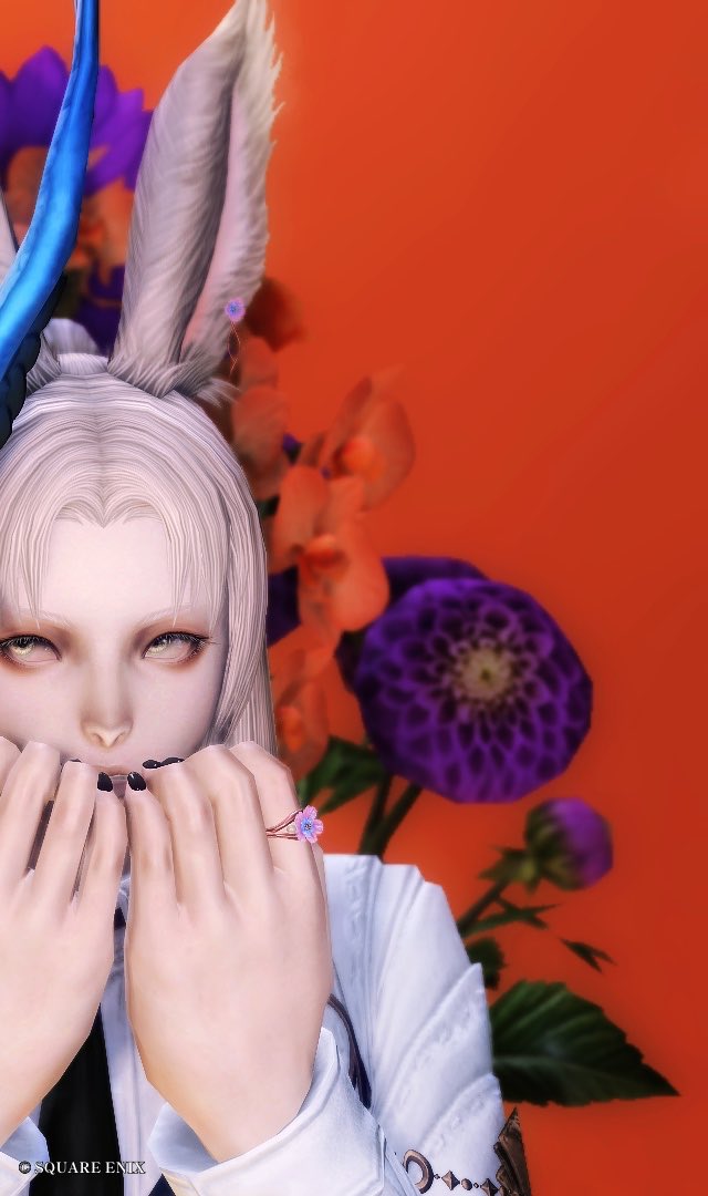 Leeja_FFXIV's tweet photo. #st_cosmonaut

🐰💙🐰 https://t.co/c48HKlRxnV