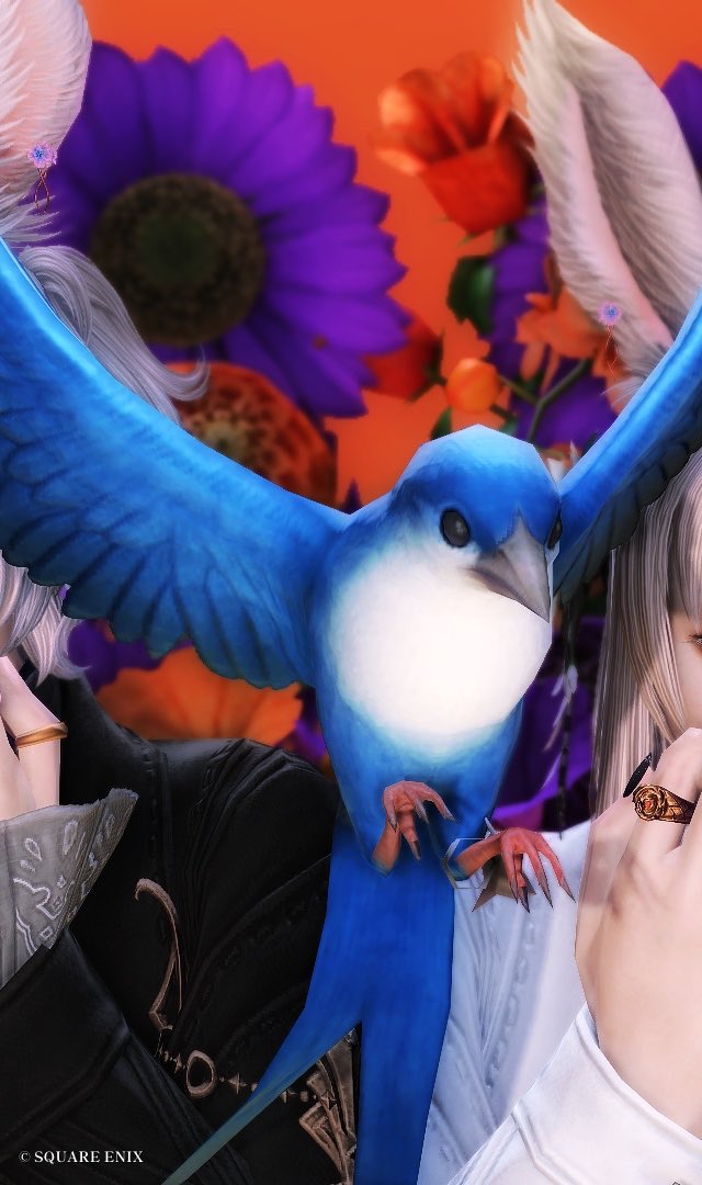 Leeja_FFXIV's tweet photo. #st_cosmonaut

🐰💙🐰 https://t.co/c48HKlRxnV