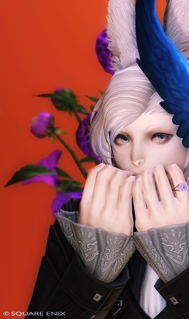 Leeja_FFXIV's tweet photo. #st_cosmonaut

🐰💙🐰 https://t.co/c48HKlRxnV