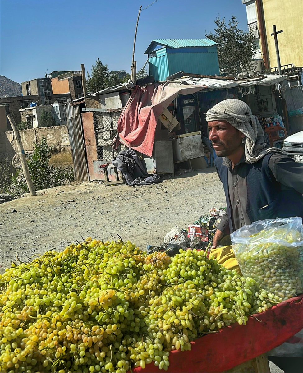 Cahidepolat's tweet photo. Çarşılar geziyor gözümüz, kepenkler kapalı, nilüferler eksik
Hiçbir kelimeyi almıyor içimiz, kelimeler çoktandır vahîm.

Afganistan/Kâbil https://t.co/u9XI2BIIDV