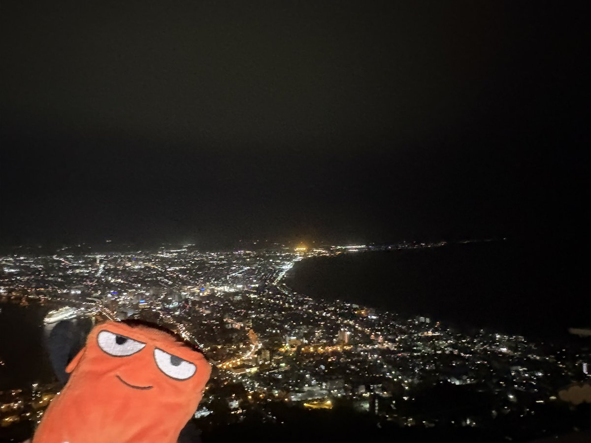 Faporgra627's tweet photo. 函館山からの夜景🏙
4年越しにようやくリベンジできた！！やっと見られてめちゃくちゃ嬉しい😭😭
めっちゃ綺麗だった✨✨ https://t.co/BkWG1Q6HKn