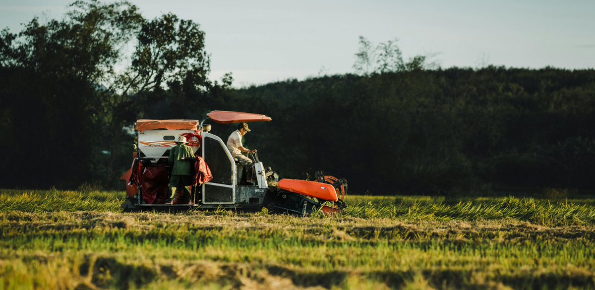 ruralcat's tweet photo. 🌾S’amplien els préstecs Agroliquiditat fins als 40 M€ per reforçar el suport al sector agroalimentari davant el canvi climàtic

https://t.co/CTNzqH4IMg https://t.co/UiqrnAUwC0