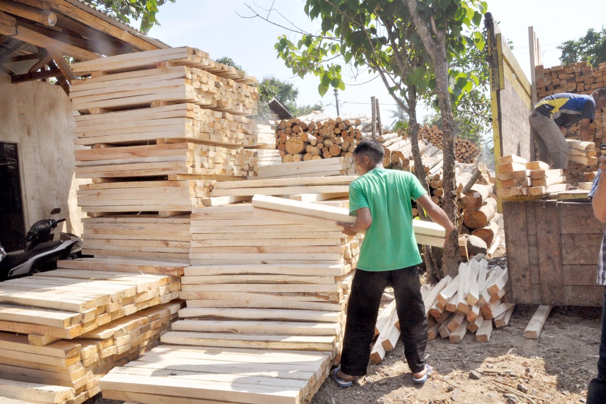 itto_sfm's tweet photo. 🌳 🌏 At recent ASEAN meetings, ITTO Projects Manager Tetra Yanuariadi highlighted the potential of tropical timber from sustainably managed forests to drive sustainable development in the region and beyond.

🔗 Read more about ITTO's engagement with ASEAN:https://t.co/YylHr1UR1f https://t.co/8mhK4Vzw2h