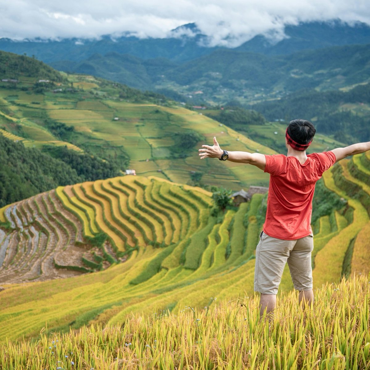 natalivelasque3's tweet photo. Sapa &amp; Fansipan in 2 Days: Trek rice terraces, visit ethnic villages, and ride the mountain train and cable car to conquer Fansipan, the Roof of Indochina. https://t.co/qwCO3qK4Pq