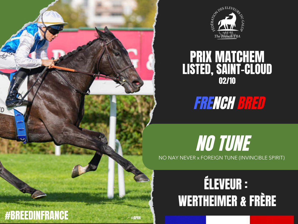 Fedeeleveurs's tweet photo. ☀️Bravo à Wertheimer & Frère pour la victoire de NO TUNE, fille de #NoNayNever, dans le Prix Matchem sur l'hippodrome de Saint-Cloud (02/10) ! 🙌
#vivelelevagefrancais #BreedInFrance #RaceAndCare https://t.co/2aFemcoHrc