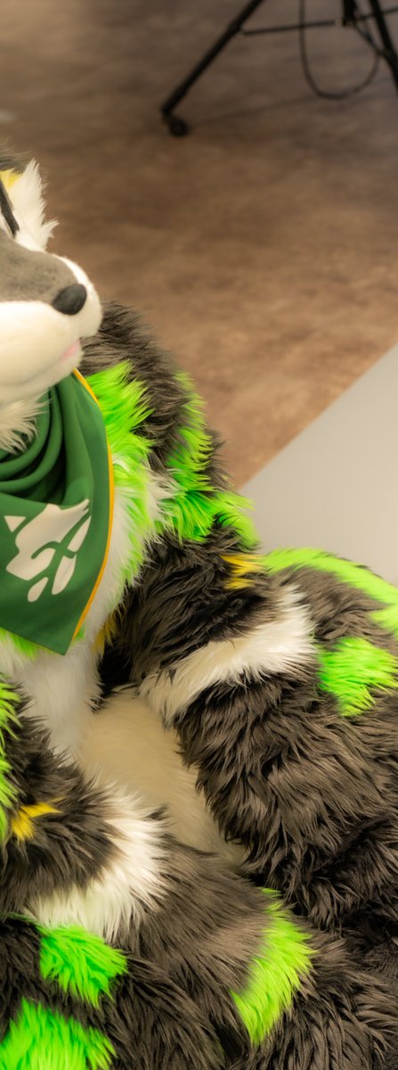 Xeno_Fur's tweet photo. じ〜🐺 https://t.co/RTHhkNy6U9