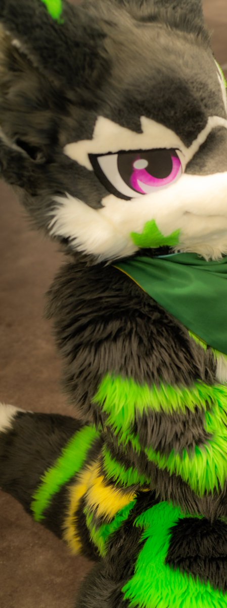 Xeno_Fur's tweet photo. じ〜🐺 https://t.co/RTHhkNy6U9