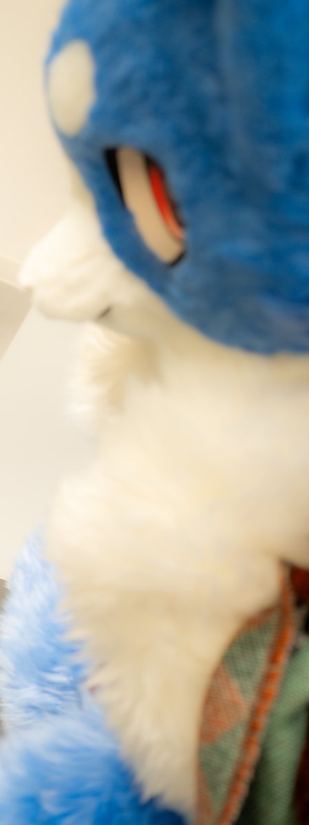 Xeno_Fur's tweet photo. じ〜🐺 https://t.co/RTHhkNy6U9