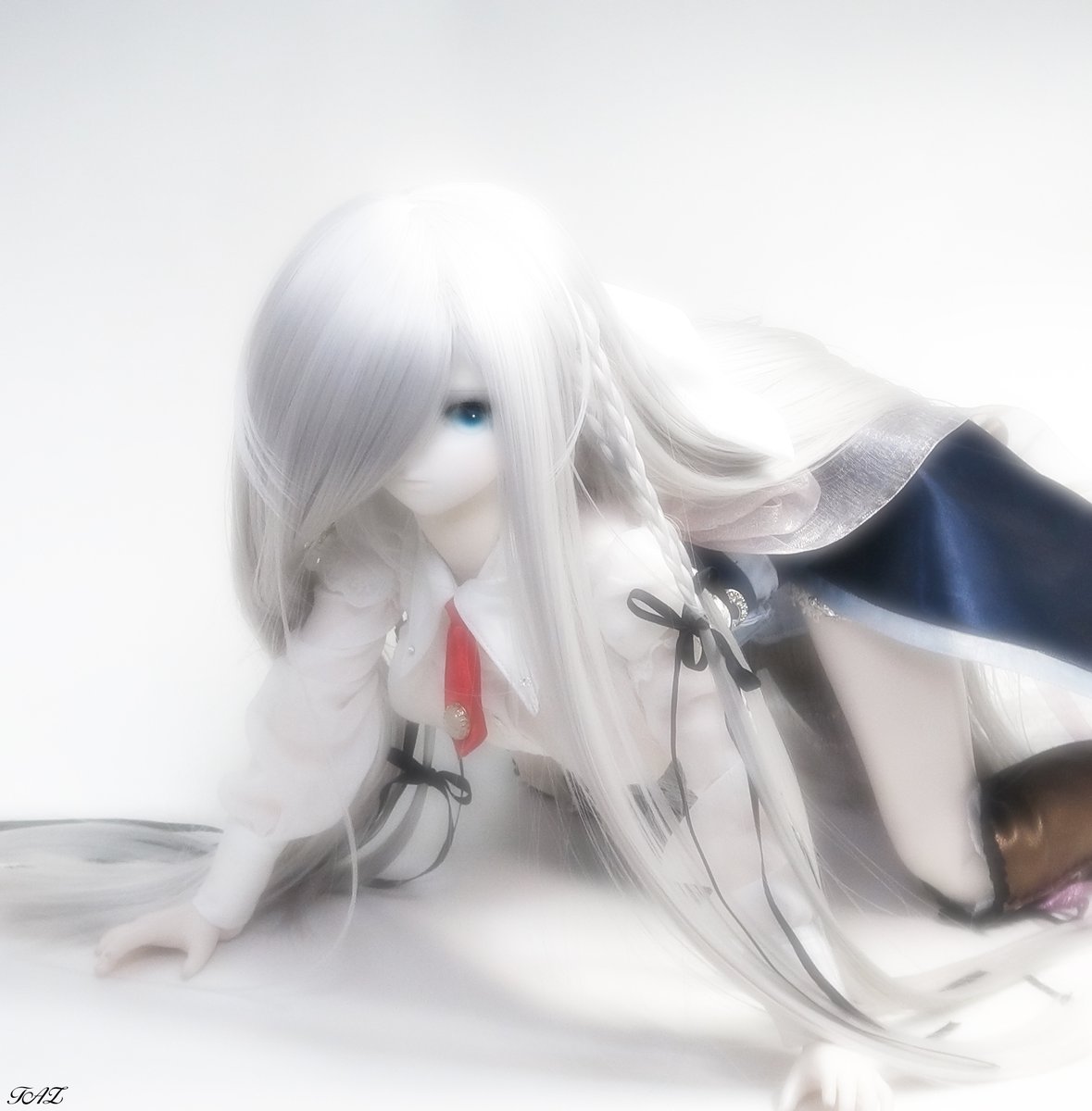 GymGhingnham's tweet photo. #今夜のドール撮影120分一本勝負【なるべく発表回数の少ない画を】
#深夜のドール撮影60分一本勝負
既出 フライング
#うちのこに癒され24時間 #うちのこかわいい #今日のルーン姫 #ルーン #シルファ #シルファリィン #SLTACT #Platina #あたたかな水の中で身をまるめていた https://t.co/cl3OLS4rTB