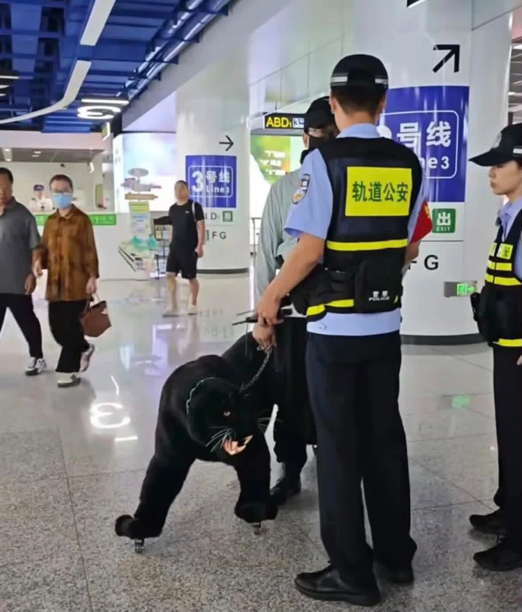 ceciarmy's tweet photo. Se compró una maleta de pantera negra, iba asustando a la gente y acabó dando explicaciones a la policía 😭 https://t.co/x8fGwbl9NA