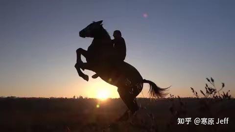 LisaHansenivnc's tweet photo. Shiny 芯颖 rides her pretty 鞍, feeling amazing! https://t.co/oSENZfAGru