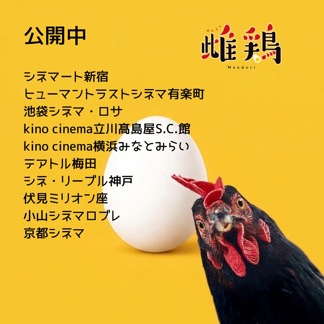 mendori_movie's tweet photo. 🦃🦃🦃🦃🦃🦃🦃🦃🦃🦃

映画『#雌鶏』絶賛公開中‼ 
あなたは鳥界隈のスペクタクル巨編を
もう体験しましたか？

冒険、スリル、ロマンス…（※ニワトリの）
この全てを是非劇場で味わってほしい！ 
8羽の主演雌鶏たちがお待ちしています。

🦃🦃🦃🦃🦃🦃🦃🦃🦃🦃 https://t.co/RE8mQcYAcc