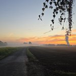 Photo by Der_traurige_Typ (@TraurigerTyp)