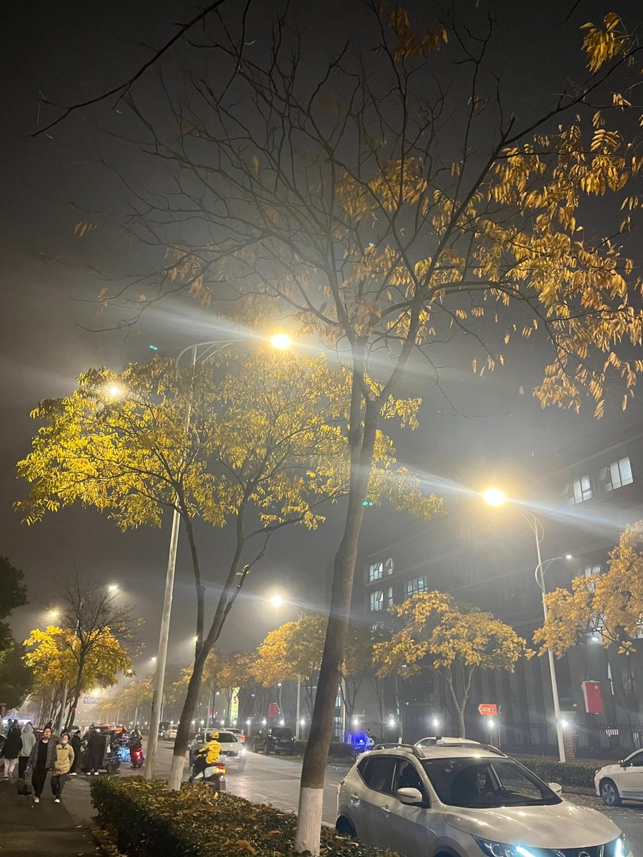 AnthonyMureebr's tweet photo. On the winding path, a warm street lamp glows, its light reflects in the small pool like a clear mirror, this quiet autumn evening is so lovely. https://t.co/LcteTkxyLR