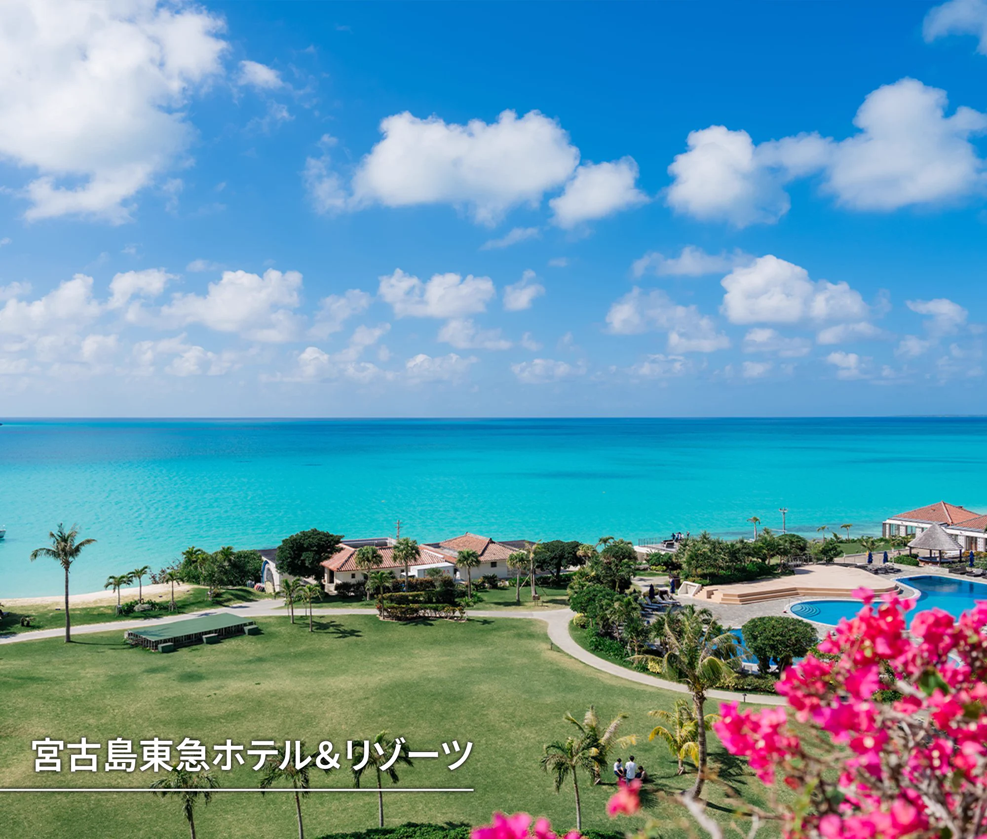 東急ホテルズ (@TOKYUHOTELS_JP) / X