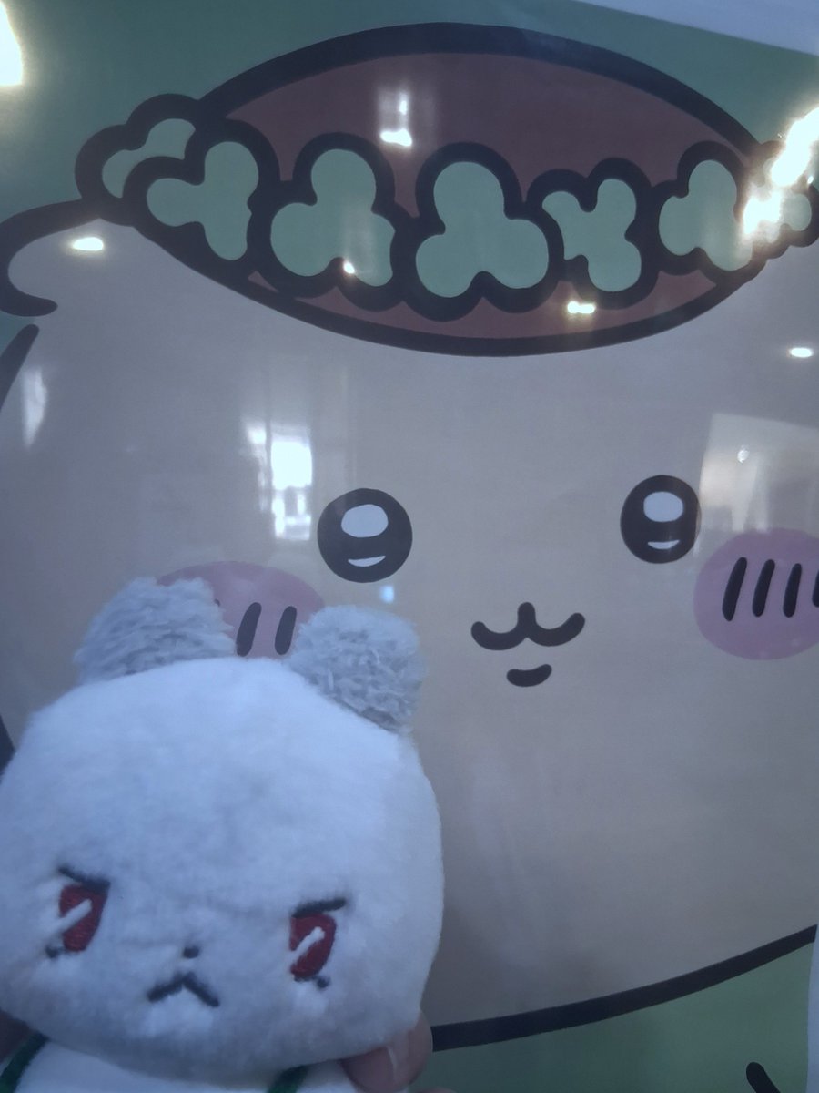 SinhaE48730's tweet photo. 믐모 동글동글한 게 치이카와랑 잘 어울림 https://t.co/cd6U1vtuL9