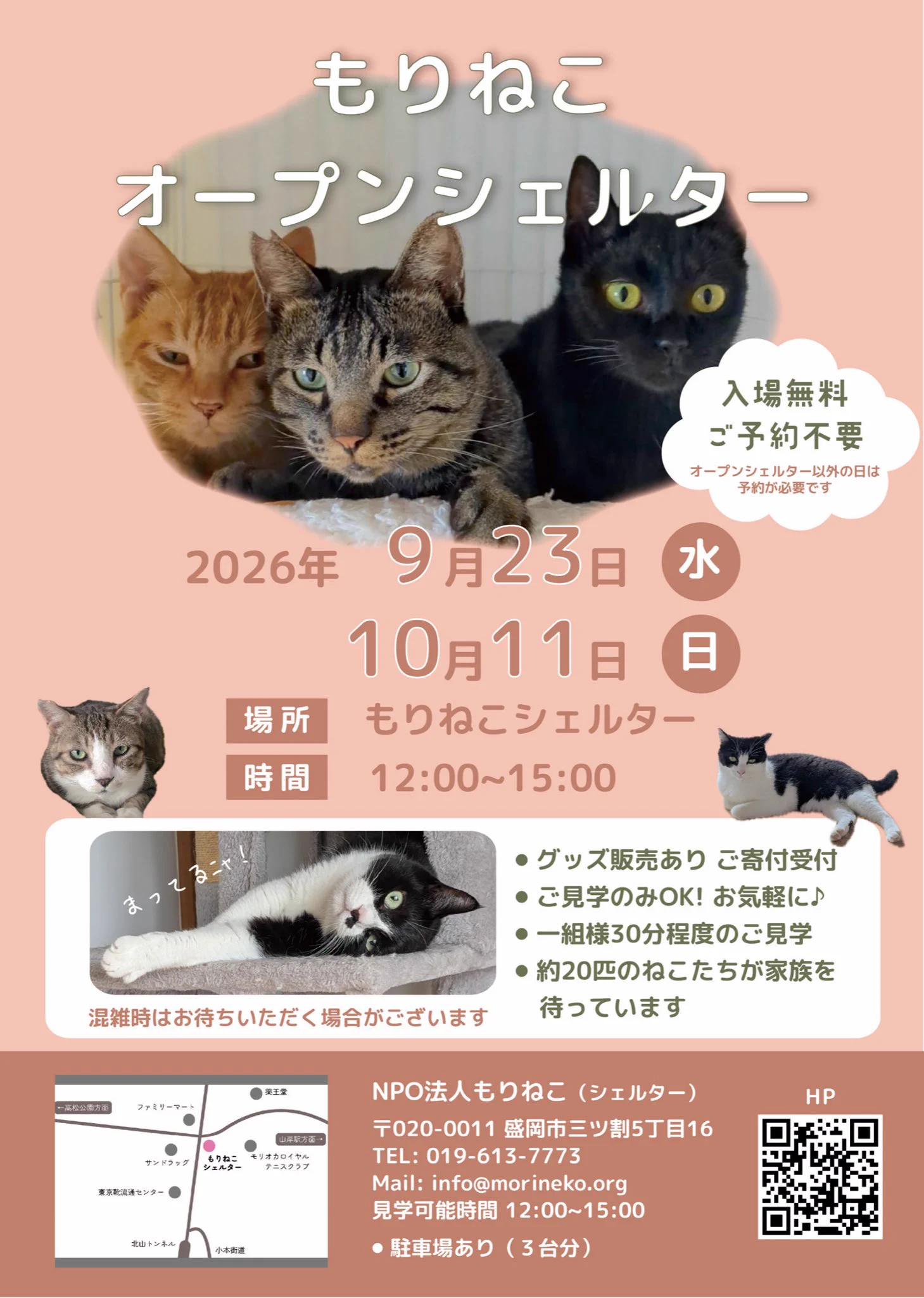 NPO法人 もりねこ على X: 