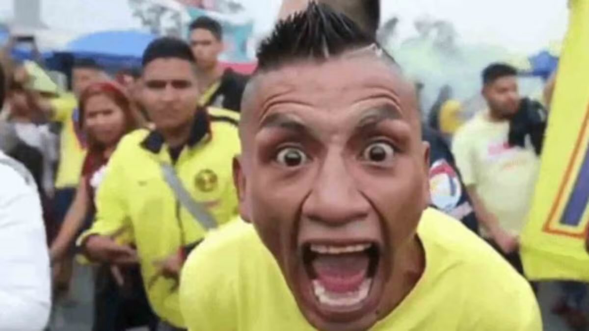 prettybamf's tweet photo. @MarioSa35023609 @vicnt3reye5 @Camberismo_12 JAJAJAJA, no te compares puto pendejo, negro tiene el hoyo tú puta madre wey, te has de ver igualito que este pedazo de pendejo, así son todos los de esa raza 🤢 https://t.co/mm2Arm6ldC