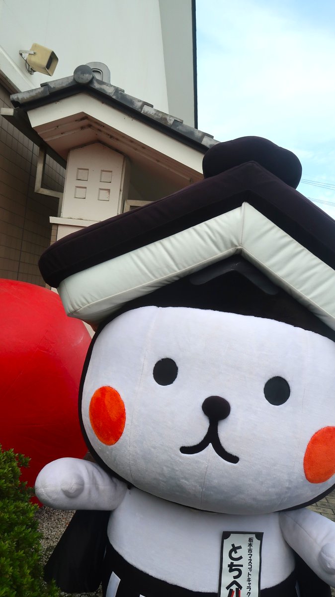 Tochi_suke's tweet photo. おはよ～っ☆
うしろのおやね!!
ぼくのずきんとおそろいだよ～っ♪
#とち介 https://t.co/4oOSB0j5Ht