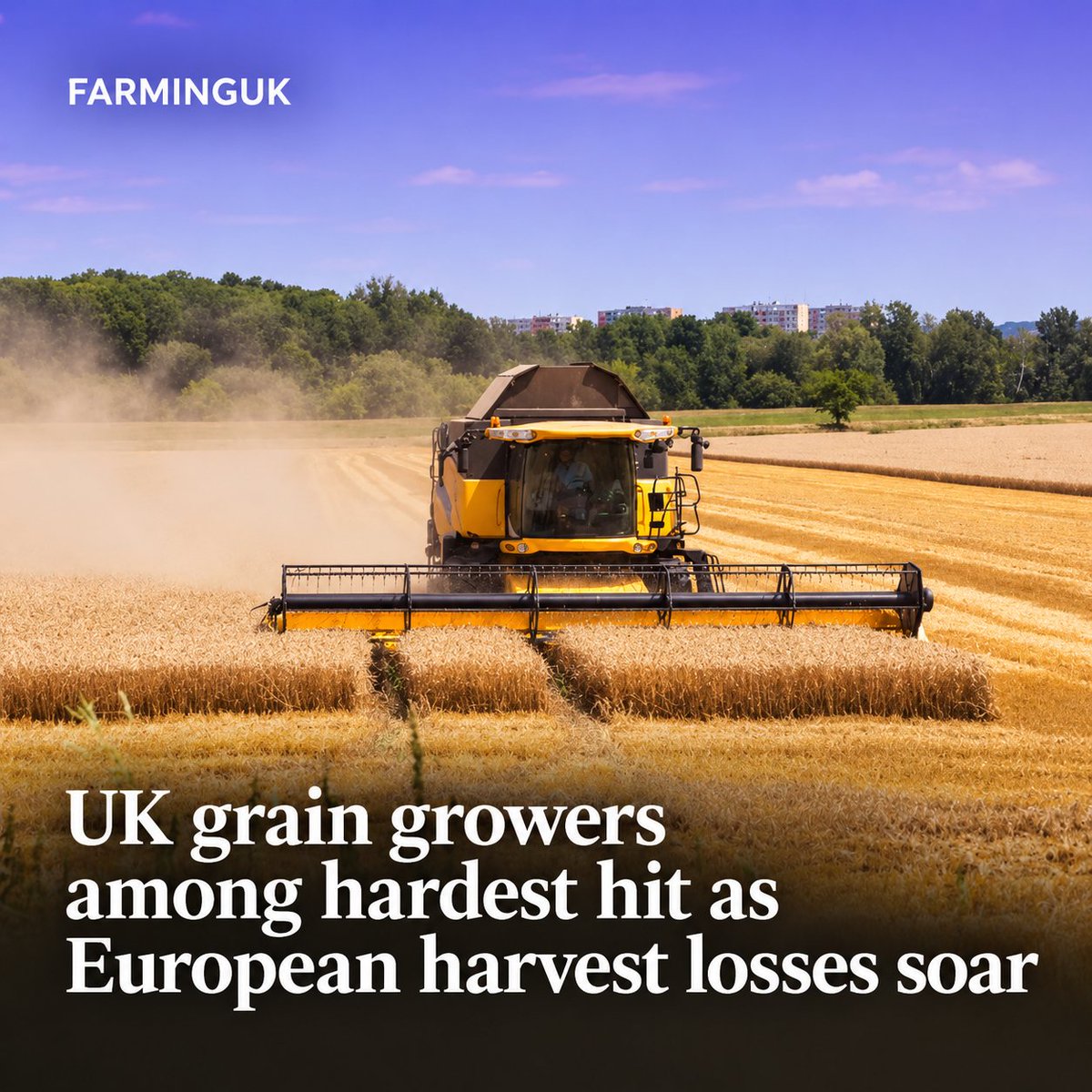 FarmingUK's tweet photo. Europe’s grain harvest has taken a €3.2bn (£2.72bn) hit after heat and drought cut production forecasts by 16.7m tonnes

🇬🇧 UK losses: 3m tonnes / £448m
🇫🇷 France: 5.8m tonnes / £1.25bn

READ MORE: https://t.co/M6WalIcDtk https://t.co/GQoaWukvK7