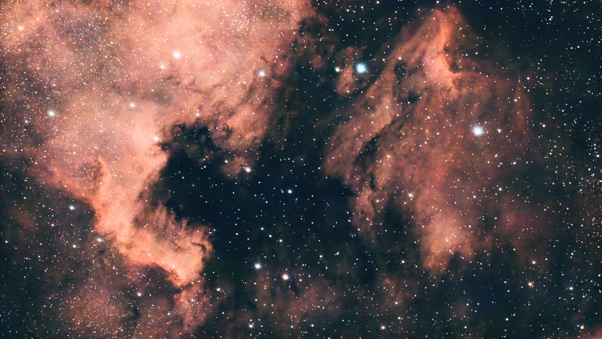 RickKoshko's tweet photo. Pelican Nebula tonight. Dwarf 3 photo. https://t.co/sYuYWqbGYz