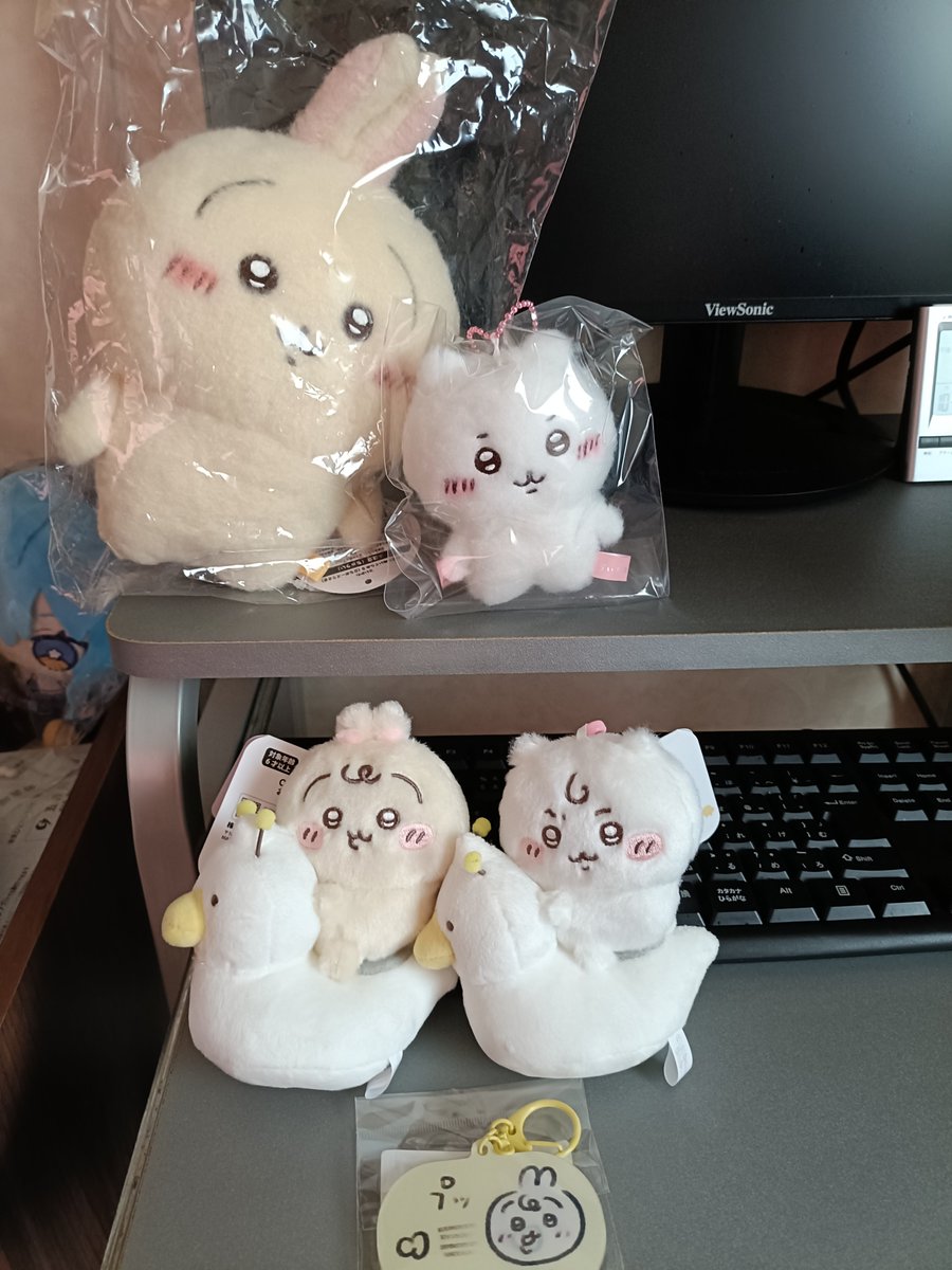Inori40desuyo's tweet photo. ちいかわのポップアップストアに行ってきた︎︎👍

 #ちいかわ https://t.co/59jhn4F598