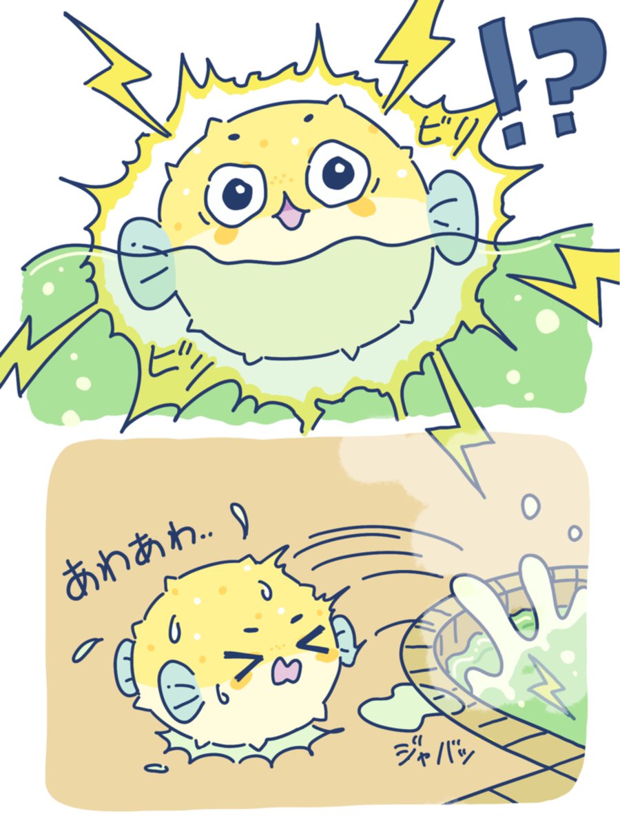 Attamarine_JP's tweet photo. つづき https://t.co/HPA1MrBePC