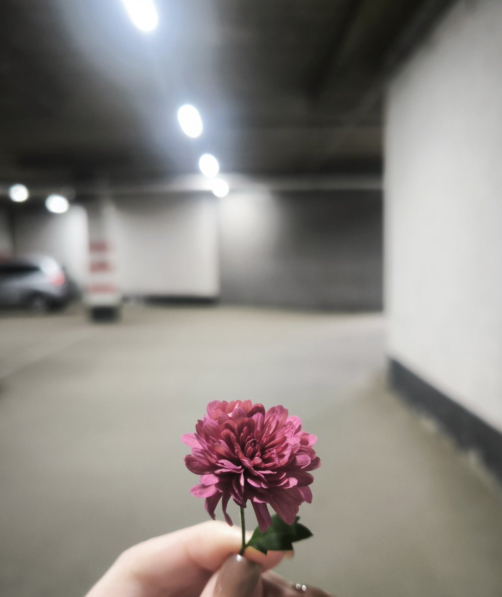 Ephelides's tweet photo. Катается тут со мной лепестковый пассажир https://t.co/C3Nivkiyqq