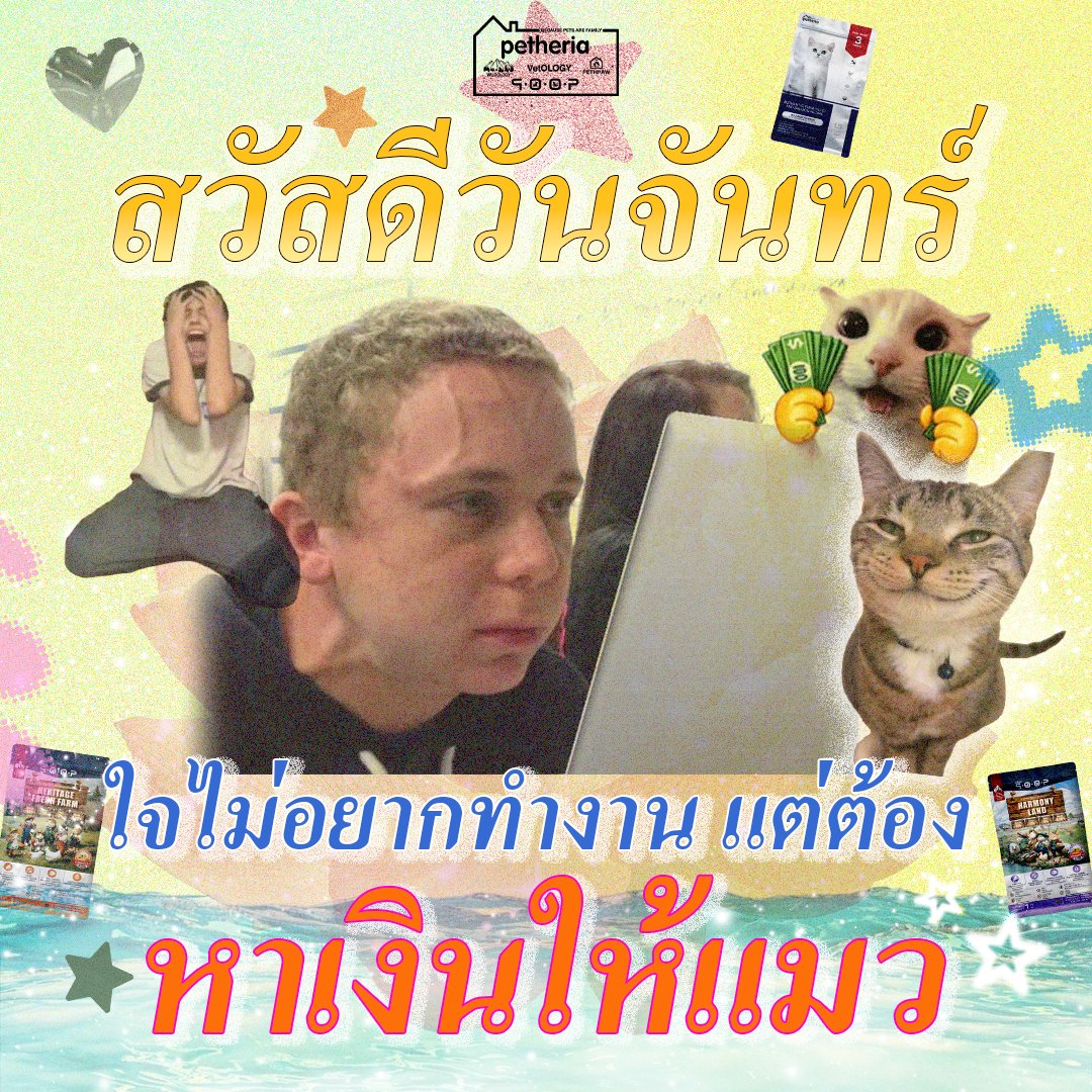 petheriaFamily's tweet photo. สวัสดีวันจันทร์ 🌞💛

ทำงานวนไป เพื่อให้น้องได้กินอิ่ม นอนสบาย และมีขนมกินแบบไม่ขาดมือ 🤣💖

เริ่มต้นสัปดาห์ด้วยรอยยิ้ม แล้วไปลุยกัน! 💪✨

[ เพราะสัตว์เลี้ยง ❤️ คือครอบครัว ]

🛒 หาซื้อสินค้าได้ที่ “ครอบครัวตัวแทนจำหน่ายทั่วประเทศ” 👉 https://t.co/chIzWj7RTe

#petheria
#TobiasBelion
#TobyBel