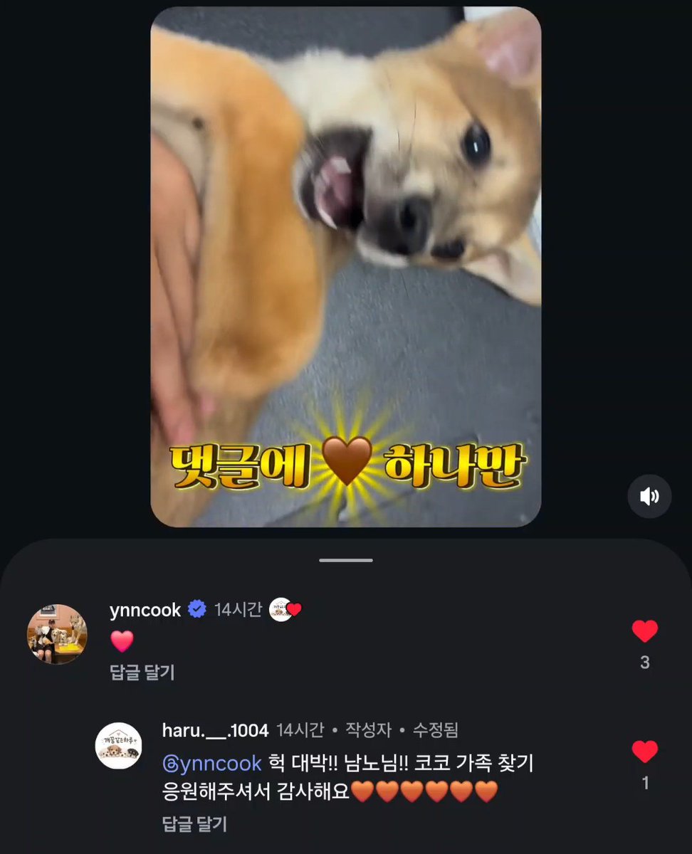 MY_LITTLE_BABE's tweet photo. 사실 팔찌와는 별개로 계정을 파면서부터 이런 트윗을 정말 하고 싶었음
인간 윤남노가 얼마나 멋진 사람인지에 대해
길기도 길고 재미도 없고 아무도 관심 없겠지만
(별개라면서야무지게인용처하기)
오늘 진짜 마지막 날이라고... 남노가 진심으로 애정하고 애쓰고 기뻐하는 일이라 돕고 싶어 그냥... https://t.co/jmoFVQS4Zf