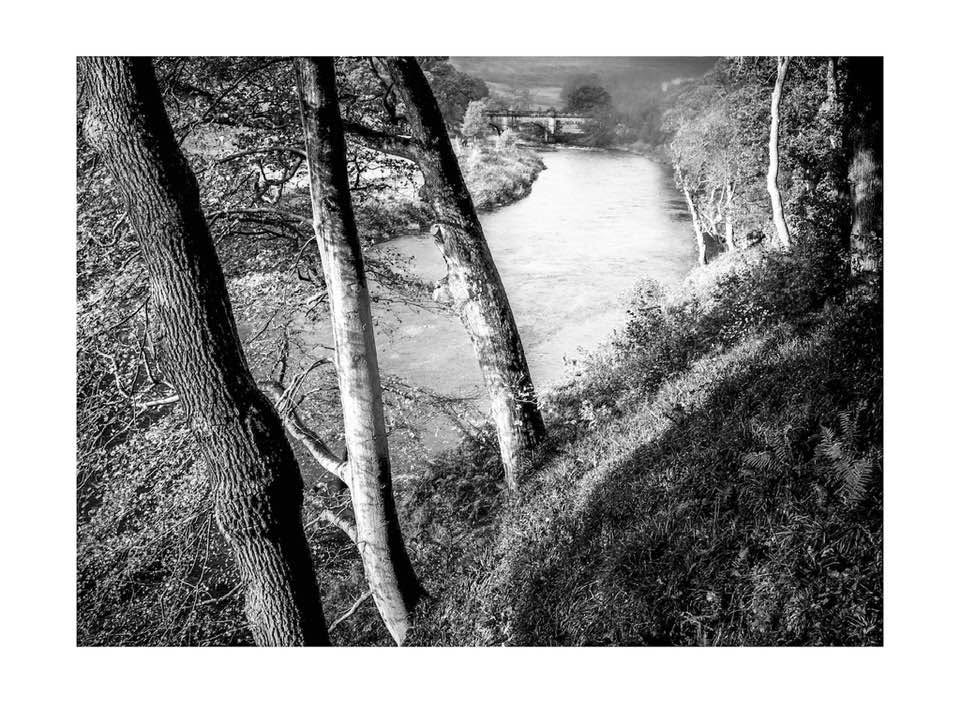 RickiDiotte's tweet photo. Monochrome shades feel unnecessarily heavy tonight. Stitching thoughts together remains a quiet struggle. 🪞 https://t.co/c45jBQ89wJ