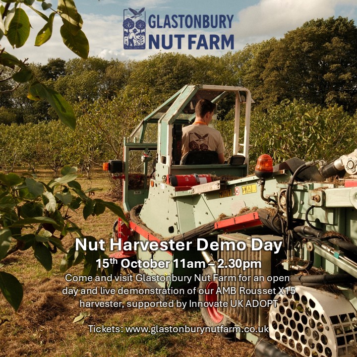 OrgResCent's tweet photo. Glastonbury Nut Farm open day &amp;  demo of the AMB Rousset X15 Harvester, supported by Innovate UK ADOPT. ORC is collaborating on trials  to evaluate the viability of growing and mechanically harvesting tree nuts under UK conditions. 
https://t.co/4brRHAVYPJ https://t.co/au1ybHiZi2