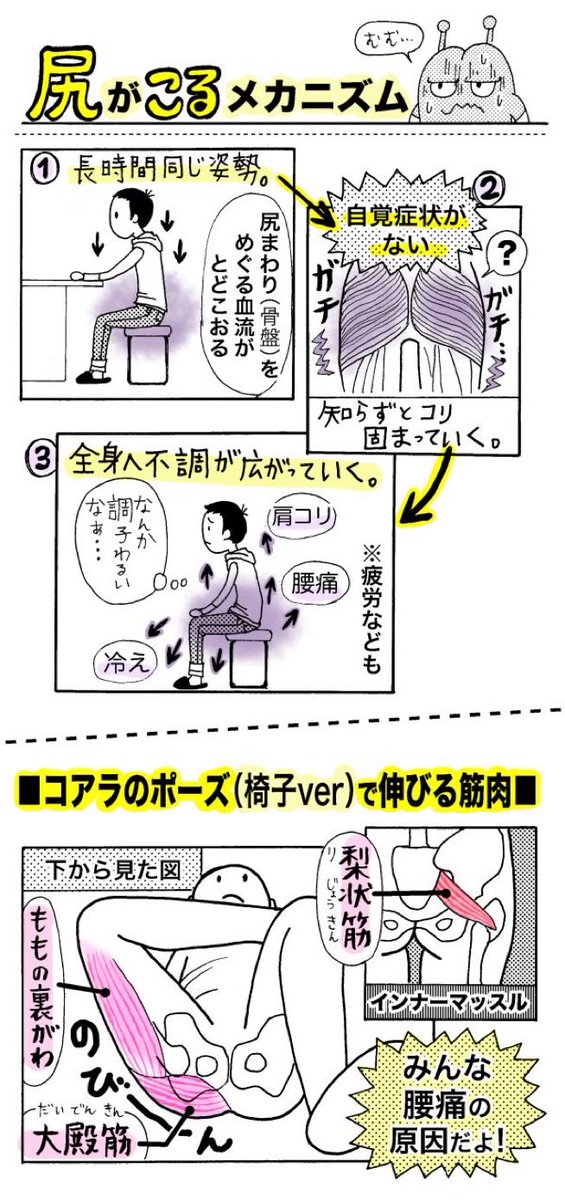 sakitamina's tweet photo. 「腰痛」＝「尻をほぐす」って、整体院やヨガなどでもよく聞きます。意外と知られているようで知らない人も多いかと

私も以前、腰痛のときにお尻の筋肉が硬いですね〜とほぐされました

イスでできる尻ストレッチで腰痛予防してます！👌✨ https://t.co/M2C6ymzZ6A