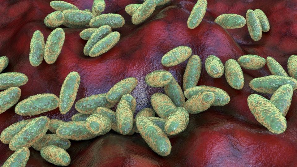 Forbes's tweet photo. Russian Plague Lab Researcher Dies As Nearly 200 Monitored—Here’s What We Know
https://t.co/L36dxR2bbI https://t.co/dkjw8dOjSf