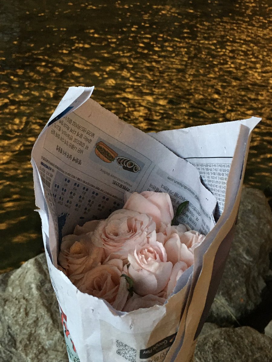 mayihaveurchloe's tweet photo. 나에게 주는 셀프 꽃 선물🌷💐
덕분에 하루종일 행복했담...

장미 10송이에 100만큼 행복해지는 마법
다들 셀프 꽃 선물로 기분 전환 해봐요오🎀 https://t.co/2StSEWylKZ