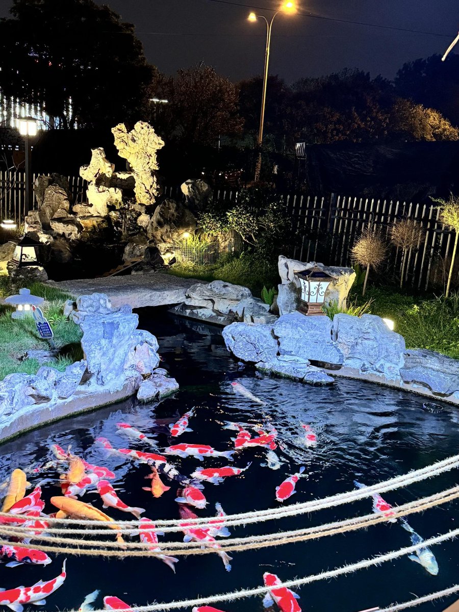 Tess_fae's tweet photo. As night falls watch the koi swim and let the heart grow still https://t.co/MmTkukYNcI