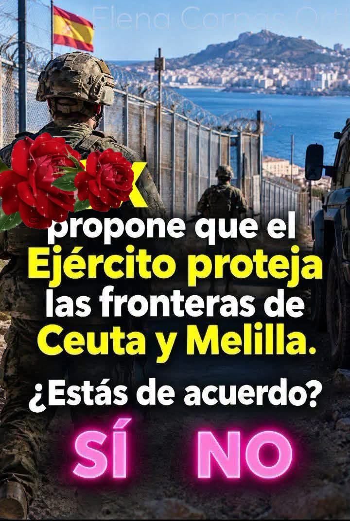 1905Civil's tweet photo. Compartir en todas las redes sociales que se haga viral y que se enteren todos en todas las partes,  Quien lo dice es la Constitución española. Lo que  dice es que se cumpla el artículo 8 de la constitución española. 💚🇪🇸💚🇪🇸💚🇪🇸💚🇪🇸💚 https://t.co/TQwBlCgxyp