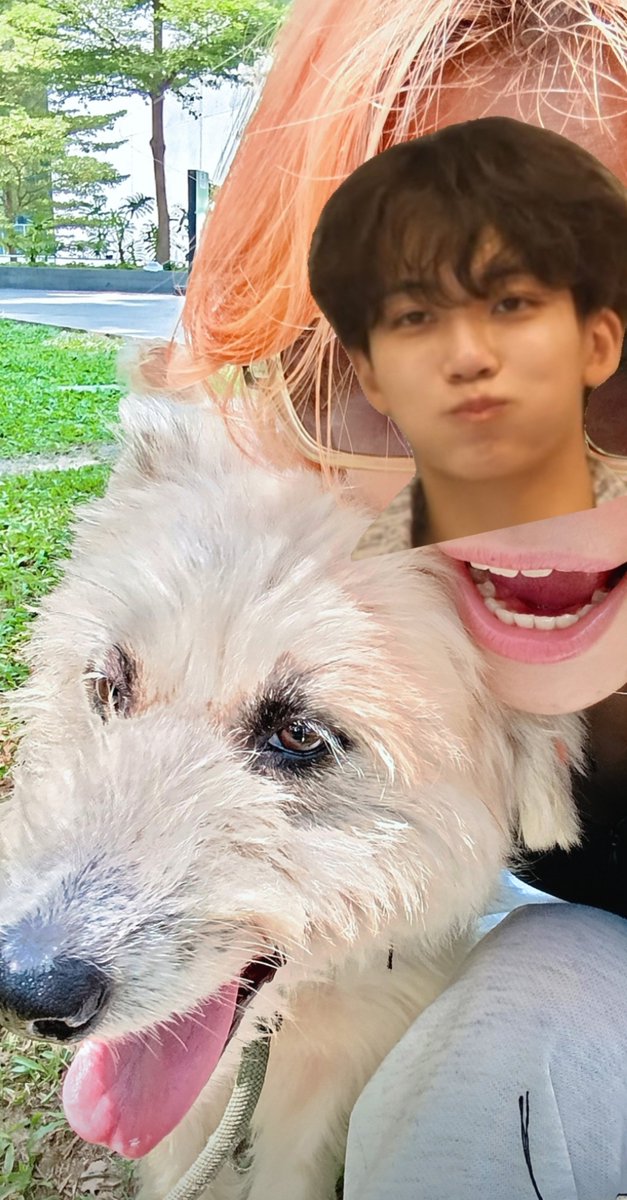 yjhanyx's tweet photo. 100426 😇 #PlayWithYoon
congrats momi @zkdlscoups to your successful event!! and bcs of that i was able to spend the day with this pretty babie, kimmy and other cute doggos! yay!! love u momi 🥹
also with my minion 🍌 PAPOIII!! https://t.co/mItFO1Sgxn