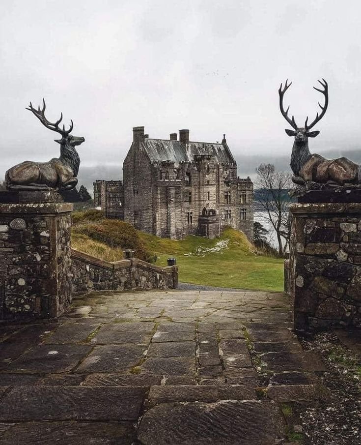 NaturalEye78321's tweet photo. 📍 Duntrune Castle, Scotland 🏴󠁧󠁢󠁳󠁣󠁴󠁿 https://t.co/IkEyJkp3NG