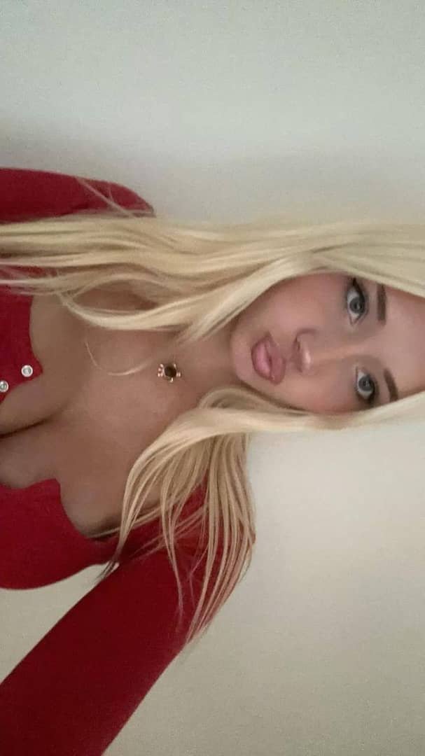 Avaxiris's tweet photo. @heyxmora Wanna see em out? https://t.co/HnqPLOY0CN