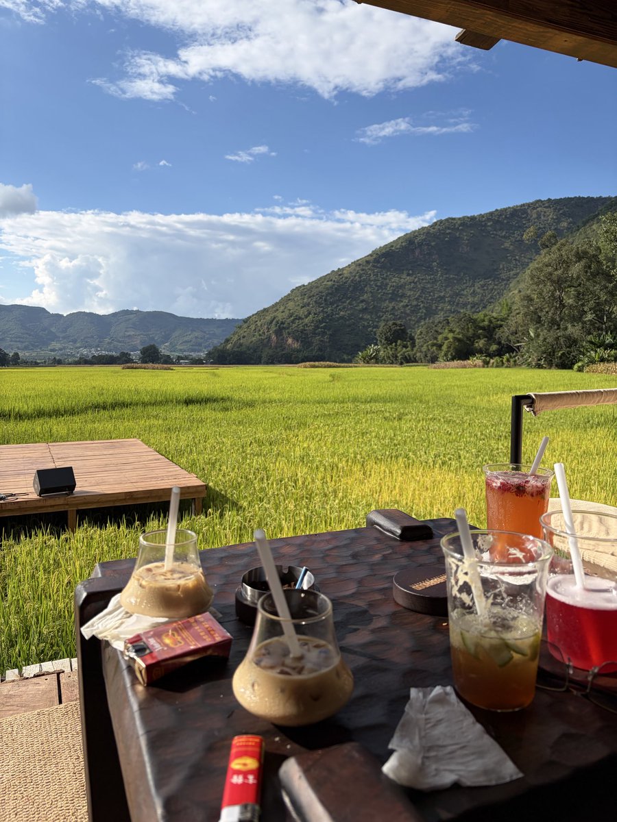 MengZui99815's tweet photo. 中国云南风景怎么样🌾 https://t.co/5OnvwhVOCr