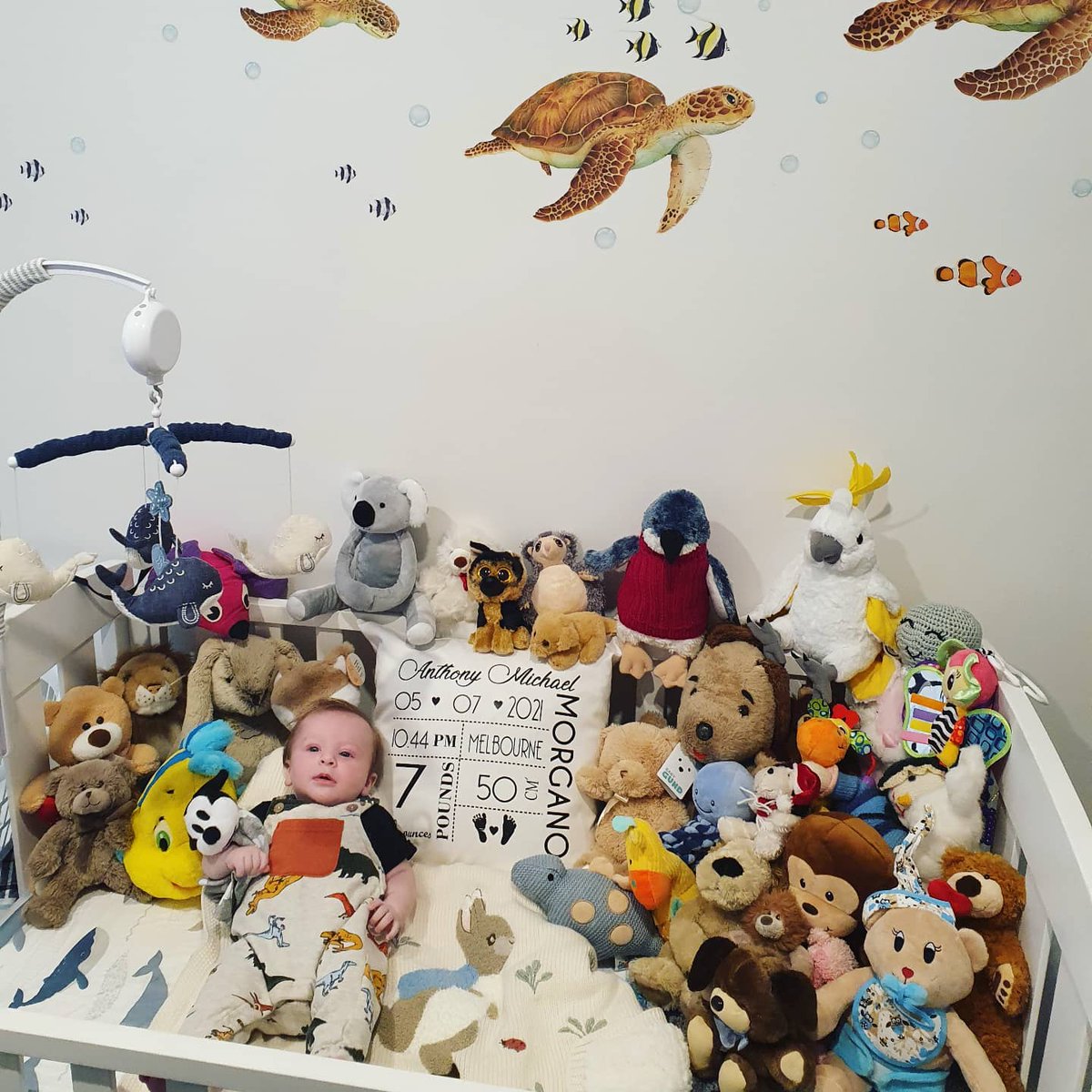 elmen_jesus's tweet photo. Anthony is enjoying all his teddies, especially his new pillow from Uncle Adriano, Auntie Joanne, and Cousin Colson. Thank you so much for such a beautiful gift to remember our little man’s arrival in this wild world. Thank you, Maggie, for the https://t.co/1lI1oGrngT