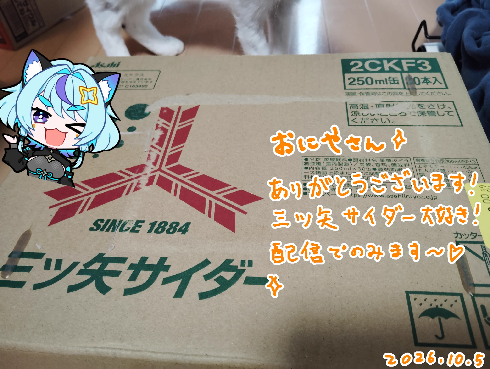 守藤みん on X: 