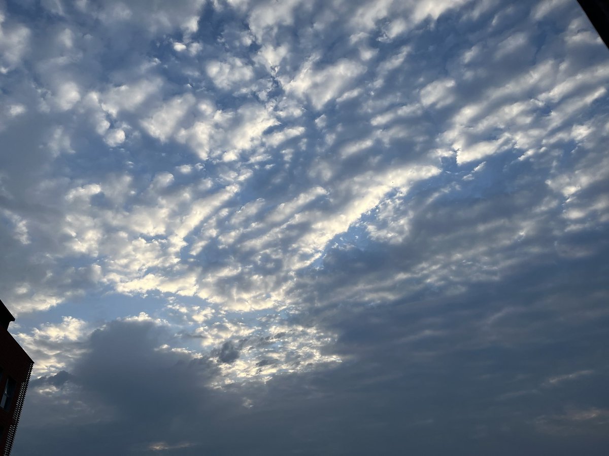 ReginaSheba's tweet photo. Starting in few minutes visiting. I found this sky from the room where I’m working today. The world is wonderful. Keep smiling and enjoy your day. https://t.co/rVhv7CEOfv
