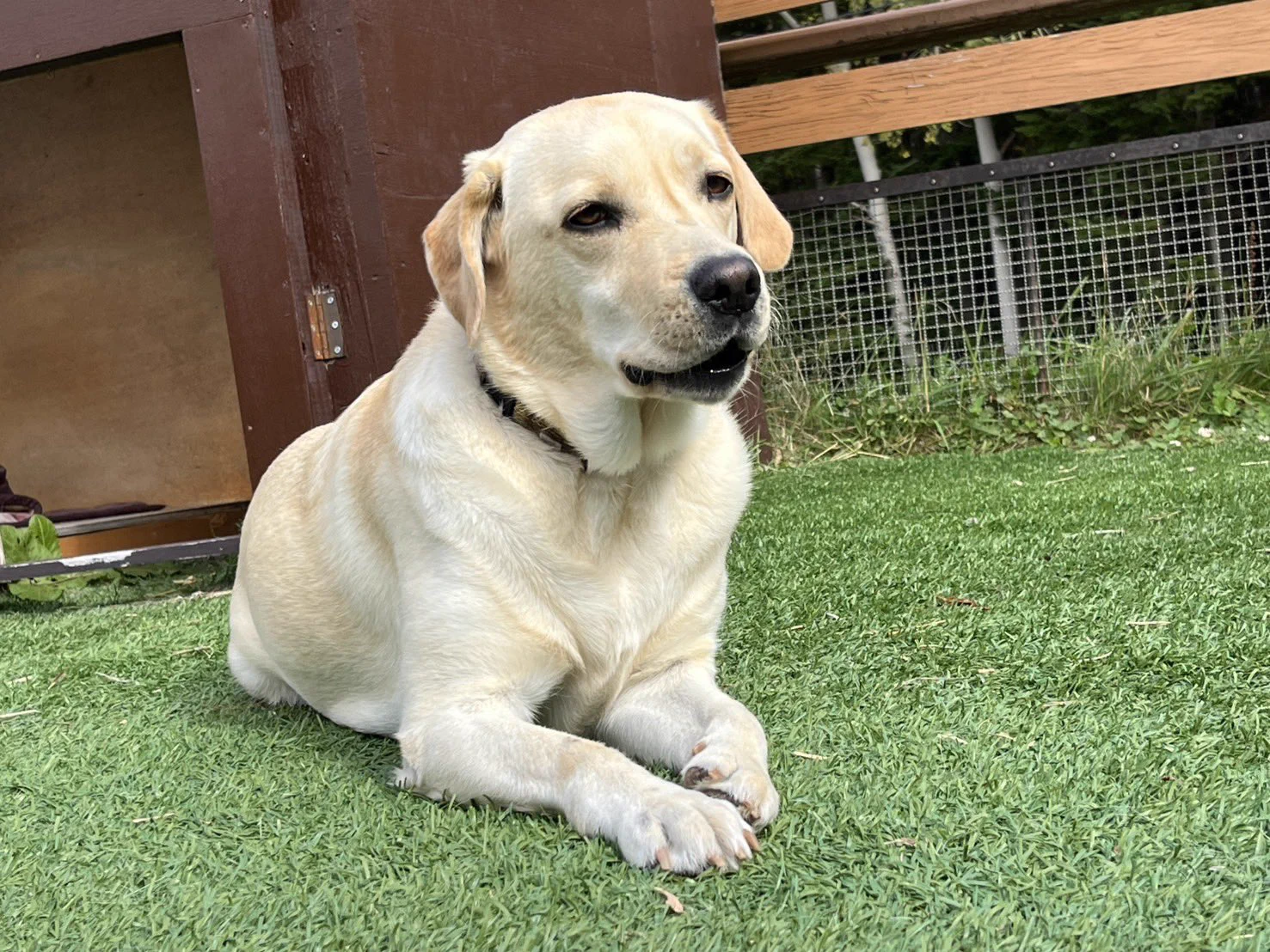旭川市旭山動物園［公式］ on X: 