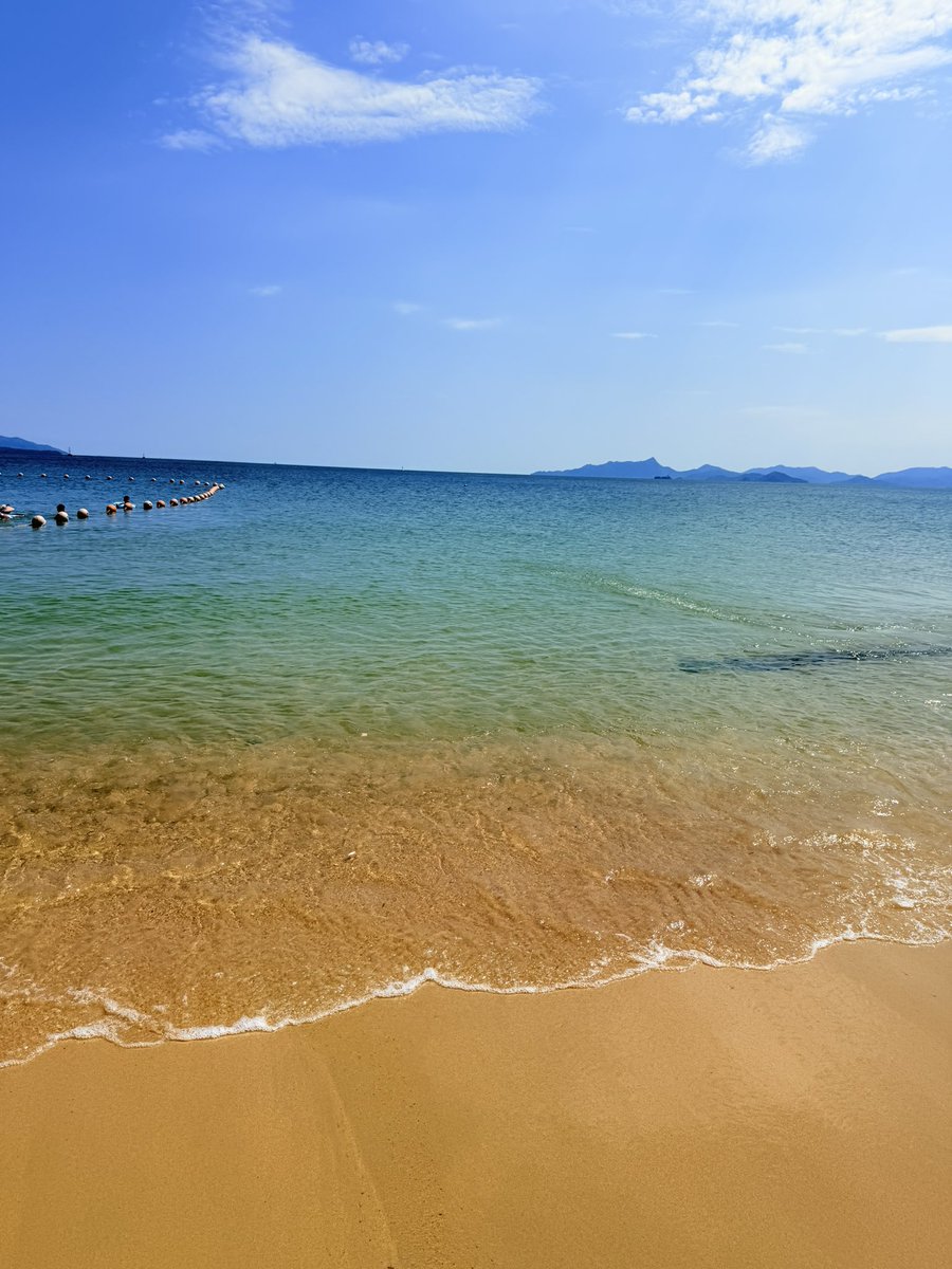 1f3qf's tweet photo. 玫瑰海岸！🏖️ https://t.co/YzoLSqlPFS