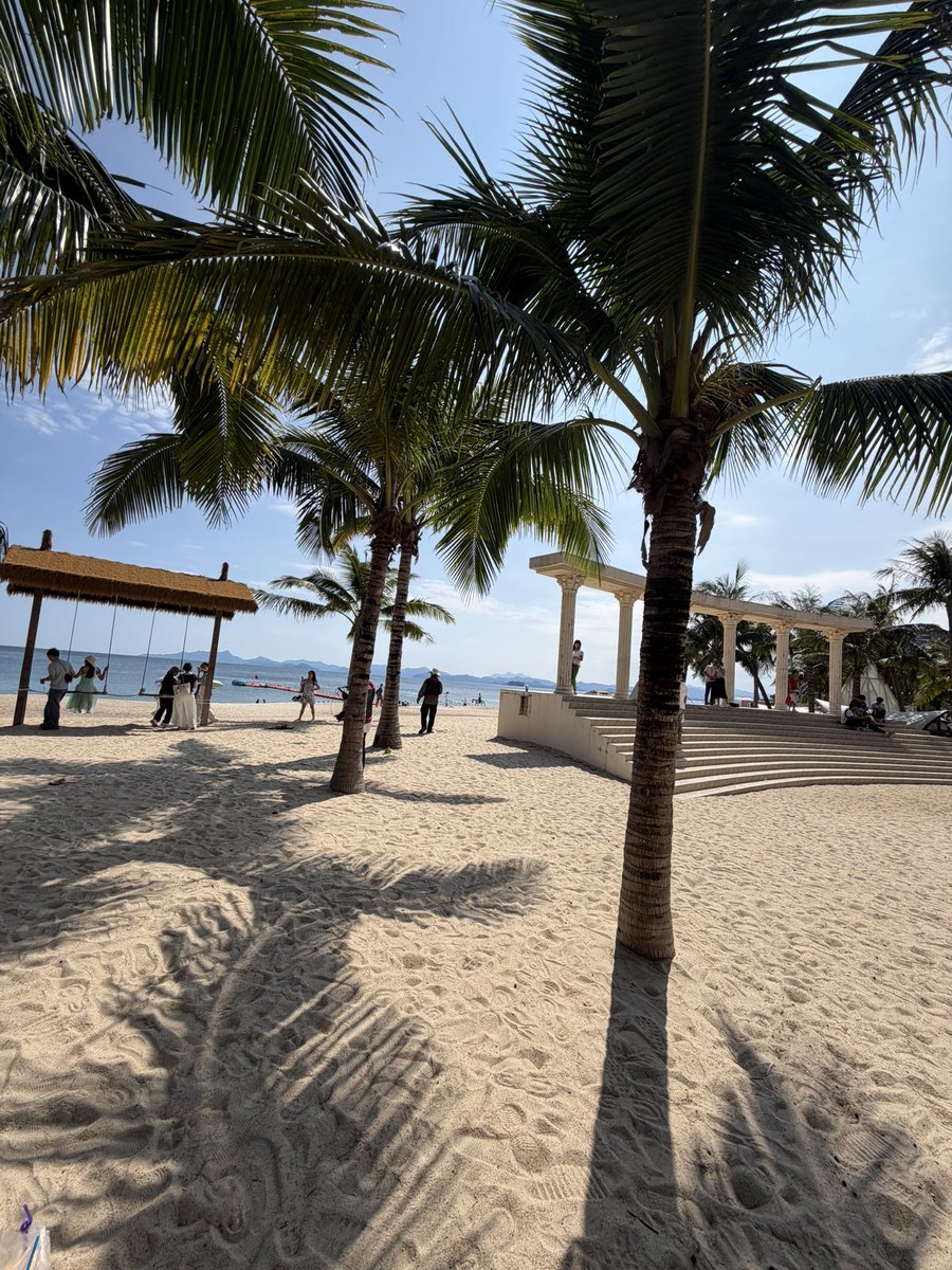 1f3qf's tweet photo. 玫瑰海岸！🏖️ https://t.co/YzoLSqlPFS
