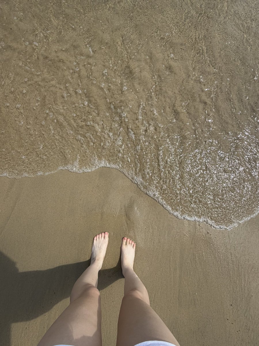 1f3qf's tweet photo. 玫瑰海岸！🏖️ https://t.co/YzoLSqlPFS
