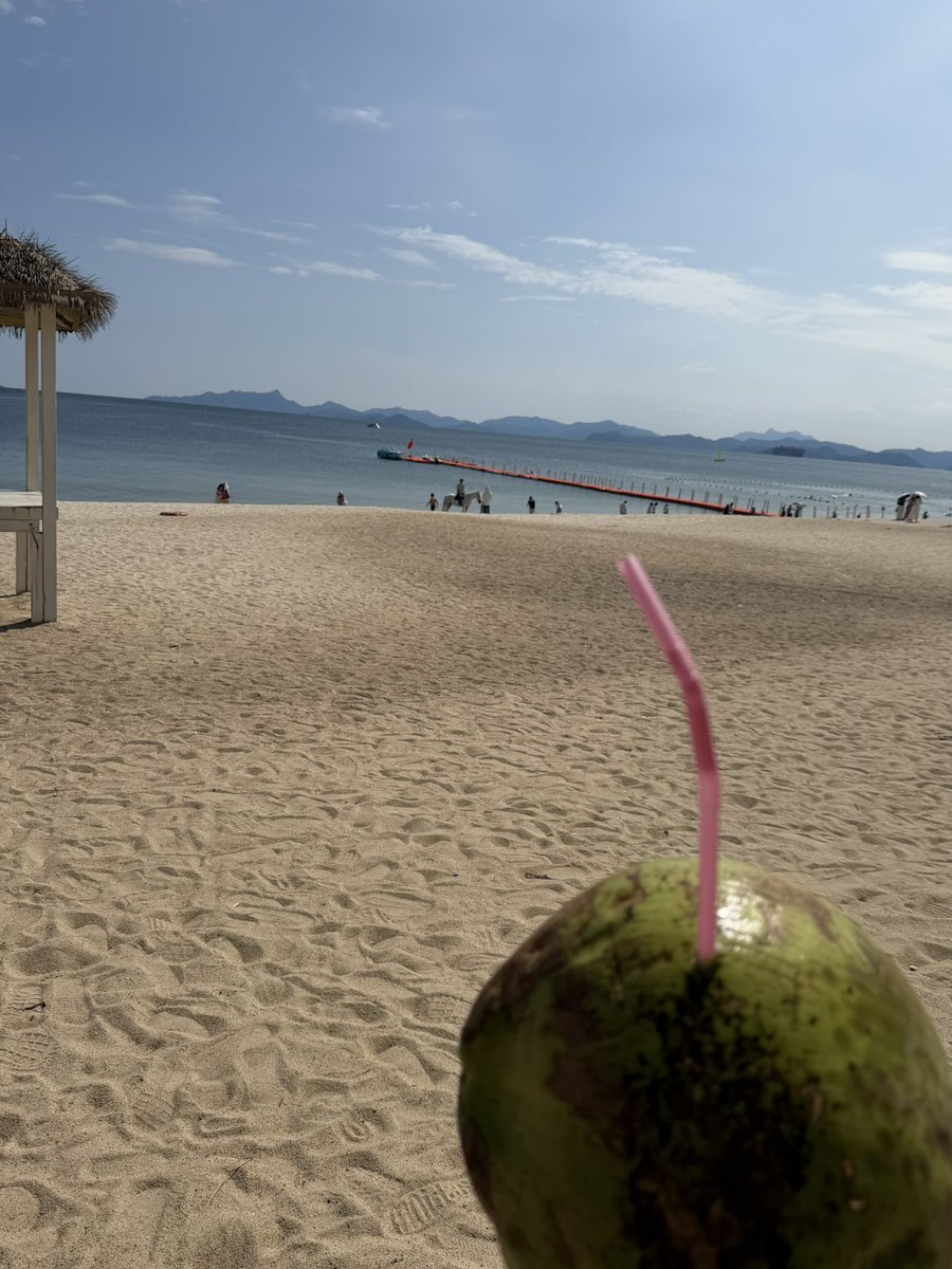 1f3qf's tweet photo. 玫瑰海岸！🏖️ https://t.co/YzoLSqlPFS