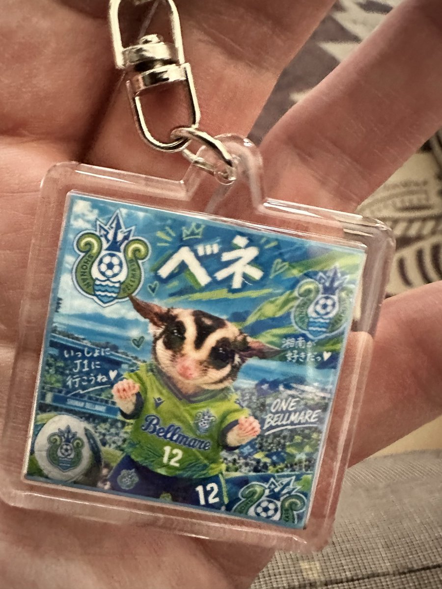 bell_kenken's tweet photo. 表札かんせ〜い🥰🥰💚💙
なんかビックリマンサイズより
ちっさかったけど
これはこれで良き✨🤩✨🔱 https://t.co/MDZnPLTFzc